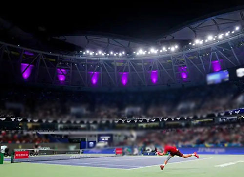 景洪市体育比赛